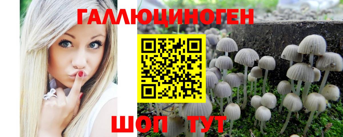 Галлюциногенные грибы мицелий Богданович